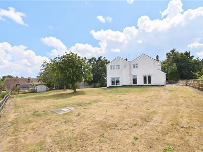 Picture 25